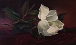 Flor de Magnolia