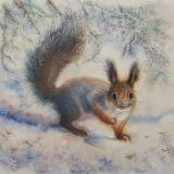 Squirrel in winter furs