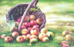 Bodegon de manzana